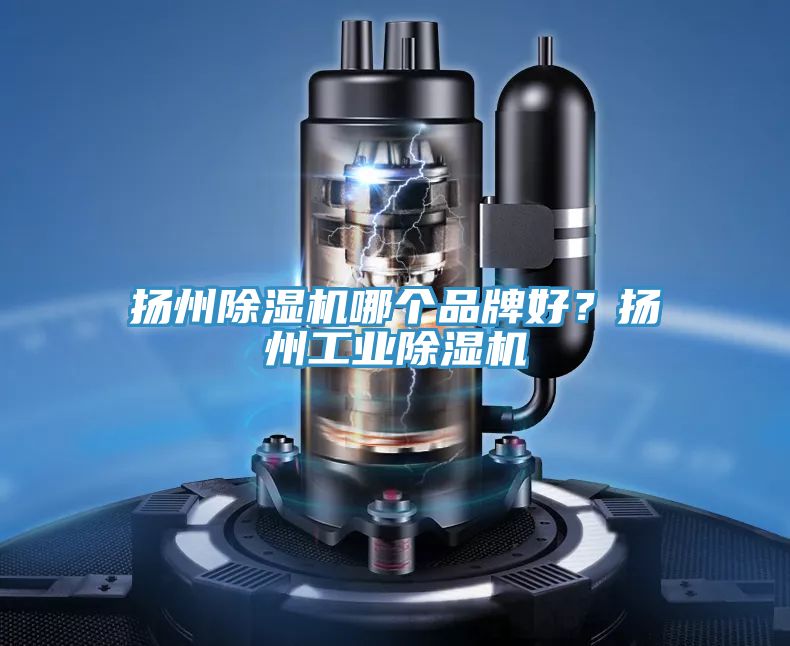 揚(yáng)州除濕機(jī)哪個(gè)品牌好？揚(yáng)州工業(yè)除濕機(jī)