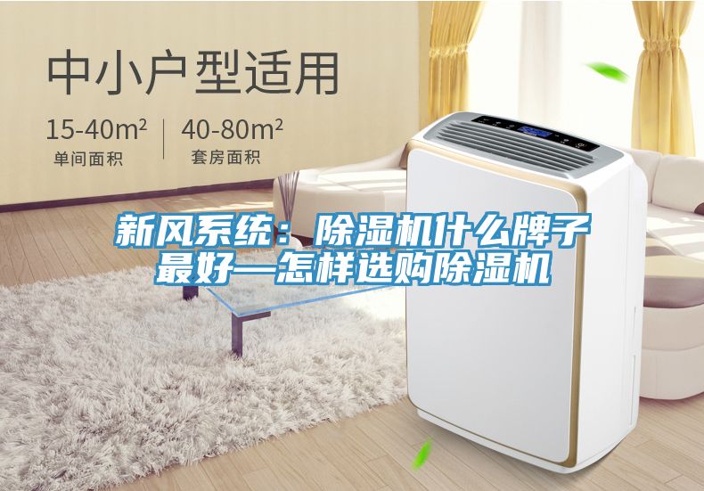 新風(fēng)系統(tǒng)：除濕機什么牌子最好—怎樣選購除濕機