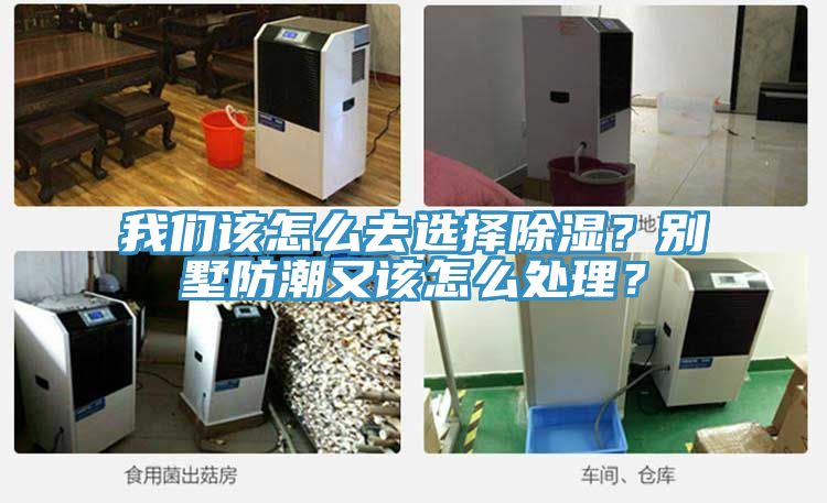 我們?cè)撛趺慈ミx擇除濕？別墅防潮又該怎么處理？