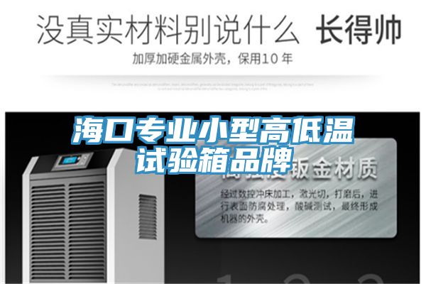 海口專業小型高低溫試驗箱品牌