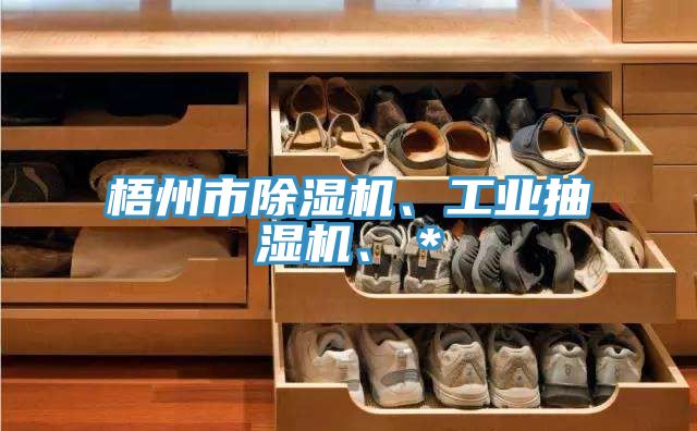 梧州市除濕機、工業(yè)抽濕機、*
