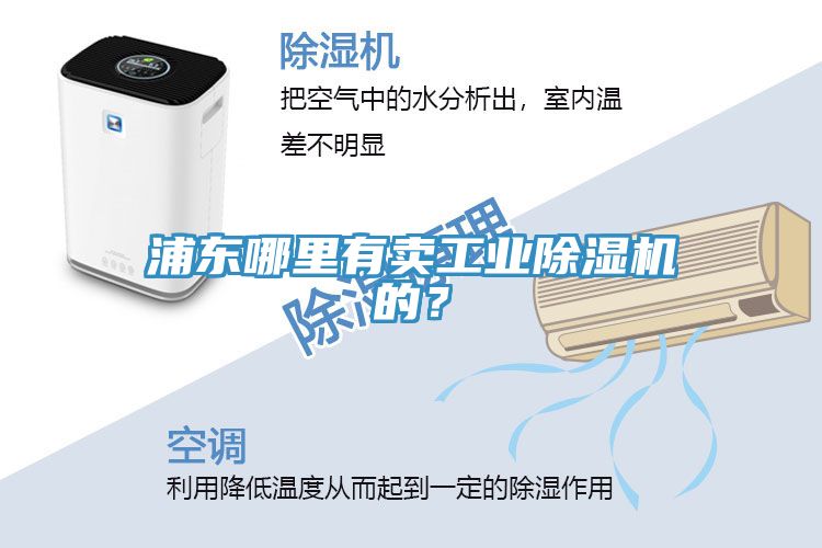 浦東哪里有賣工業除濕機的?