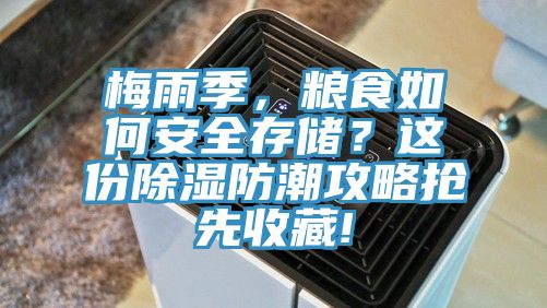 梅雨季,糧食如何安全存儲?這份除濕防潮攻略搶先收藏!