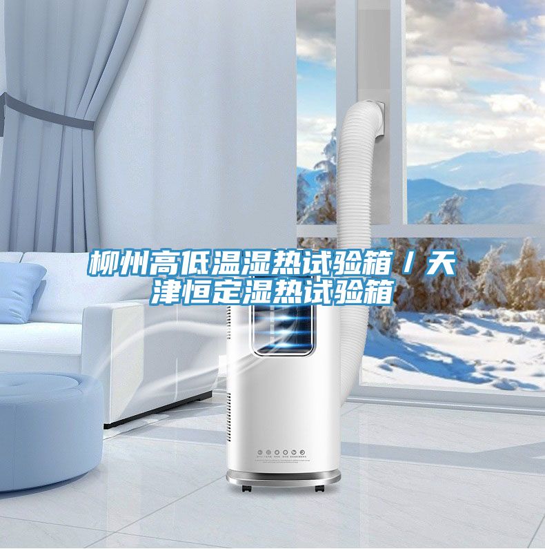 柳州高低溫濕熱試驗(yàn)箱/天津恒定濕熱試驗(yàn)箱