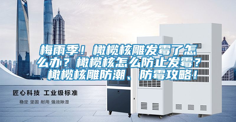 梅雨季!橄欖核雕發霉了怎么辦?橄欖核怎么防止發霉? 橄欖核雕防潮、防霉攻略!