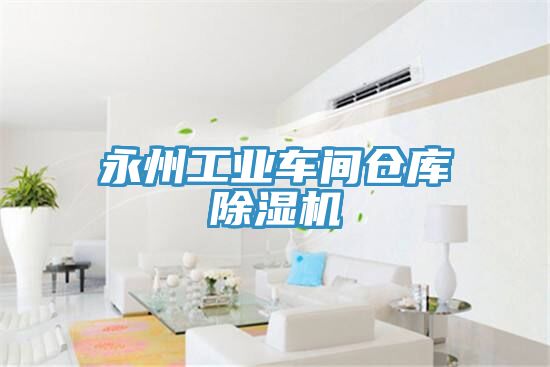 永州工業(yè)車間倉庫除濕機