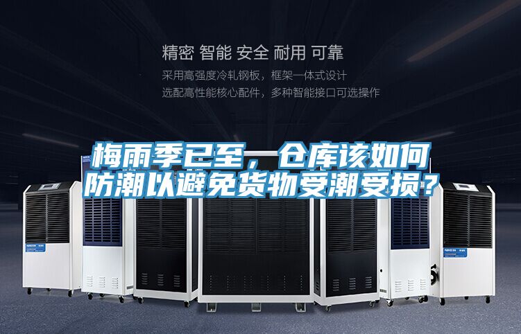 梅雨季已至,倉庫該如何防潮以避免貨物受潮受損?