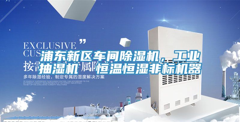 浦東新區車間除濕機,工業抽濕機 恒溫恒濕非標機器