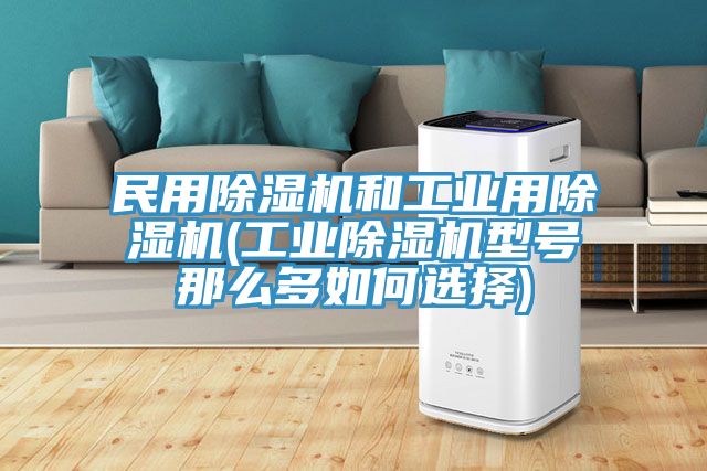 民用除濕機和工業(yè)用除濕機(工業(yè)除濕機型號那么多如何選擇)