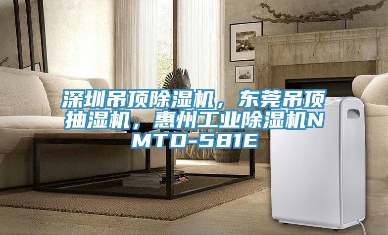 深圳吊頂除濕機(jī)，東莞吊頂抽濕機(jī)，惠州工業(yè)除濕機(jī)NMTD-581E