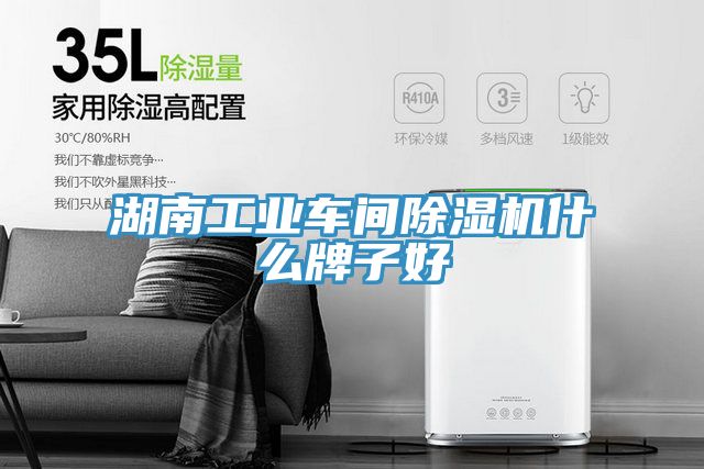 湖南工業(yè)車間除濕機(jī)什么牌子好