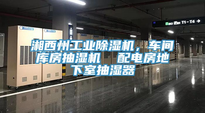 湘西州工業(yè)除濕機(jī),車(chē)間庫(kù)房抽濕機(jī) 配電房地下室抽濕器