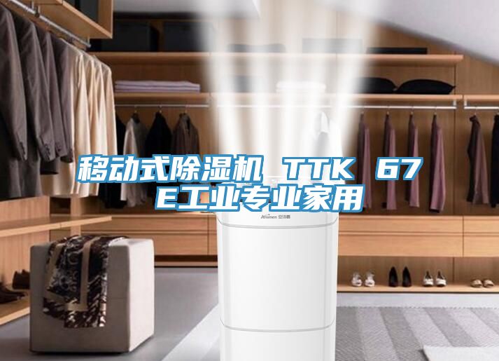 移動式除濕機 TTK 67 E工業專業家用