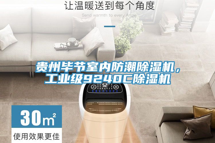 貴州畢節室內防潮除濕機，工業級9240C除濕機