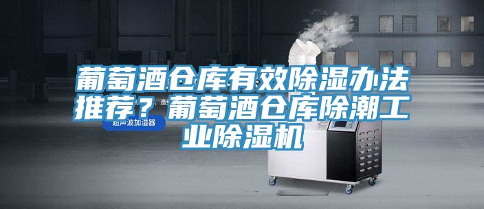 葡萄酒倉庫有效除濕辦法推薦？葡萄酒倉庫除潮工業除濕機