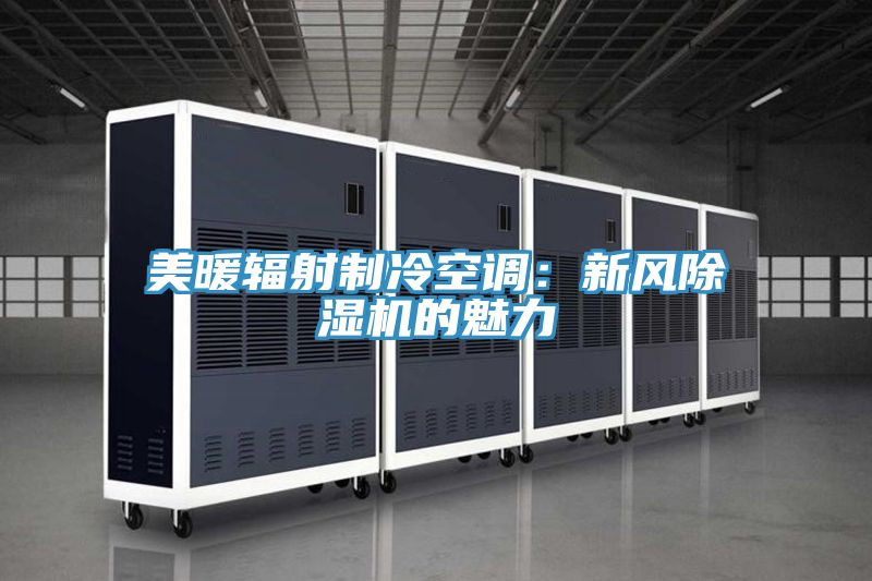 美暖輻射制冷空調：新風除濕機的魅力