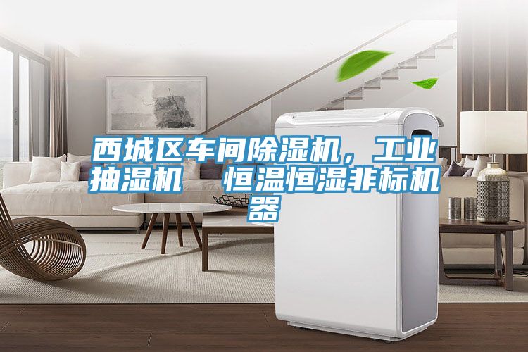 西城區車間除濕機，工業抽濕機  恒溫恒濕非標機器