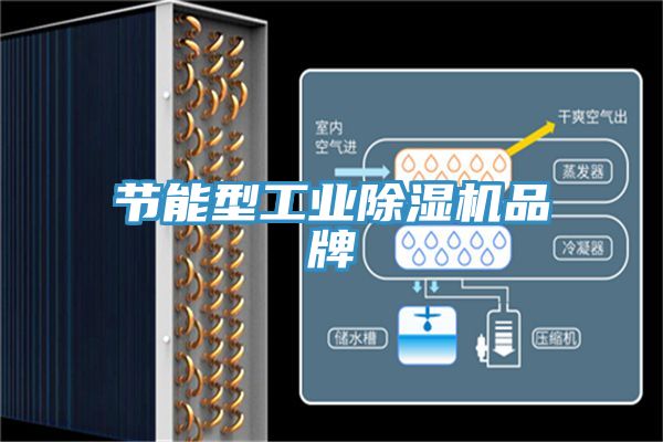 節能型工業除濕機品牌