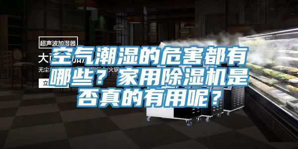 空氣潮濕的危害都有哪些？家用除濕機是否真的有用呢？