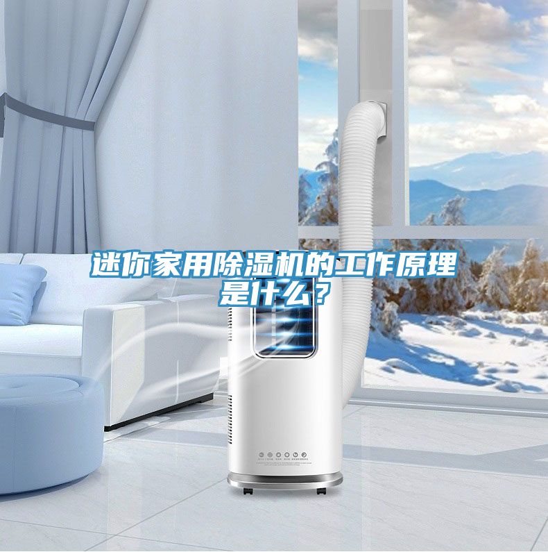 迷你家用除濕機(jī)的工作原理是什么?