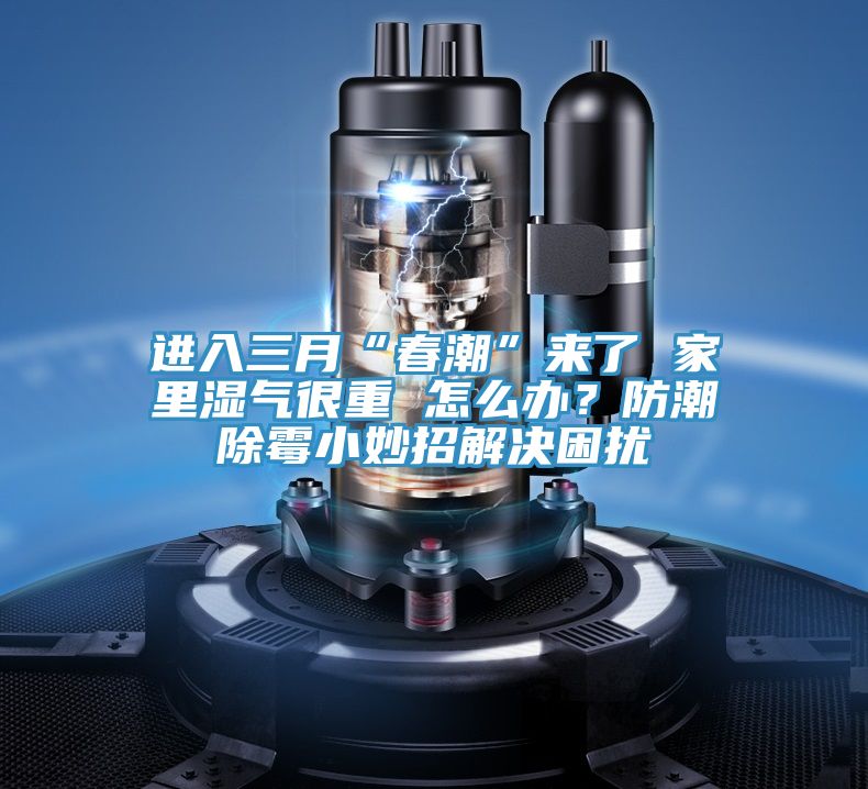 進入三月“春潮”來了 家里濕氣很重 怎么辦?防潮除霉小妙招解決困擾