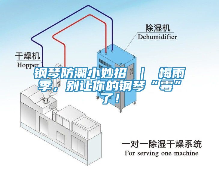 鋼琴防潮小妙招 | 梅雨季,別讓你的鋼琴“霉”了!