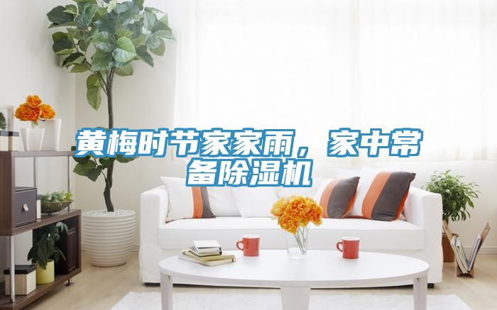 黃梅時節家家雨,家中常備除濕機