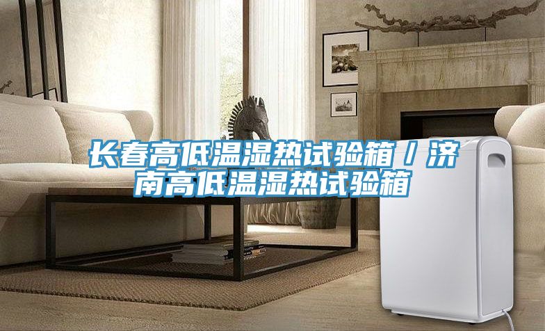 長春高低溫濕熱試驗箱/濟南高低溫濕熱試驗箱