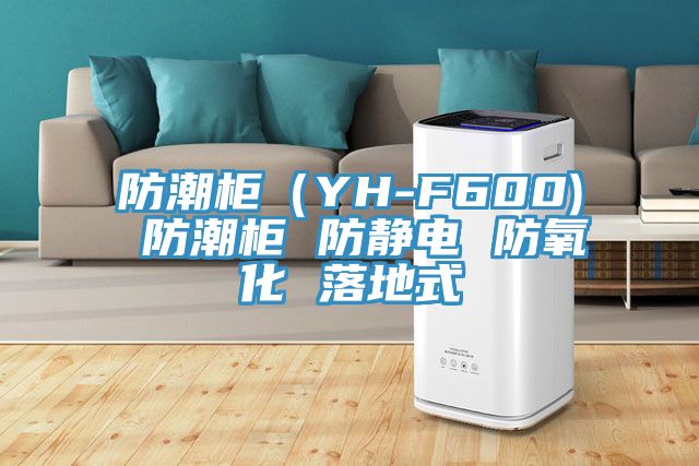 防潮柜(YH-F600) 防潮柜 防靜電 防氧化 落地式