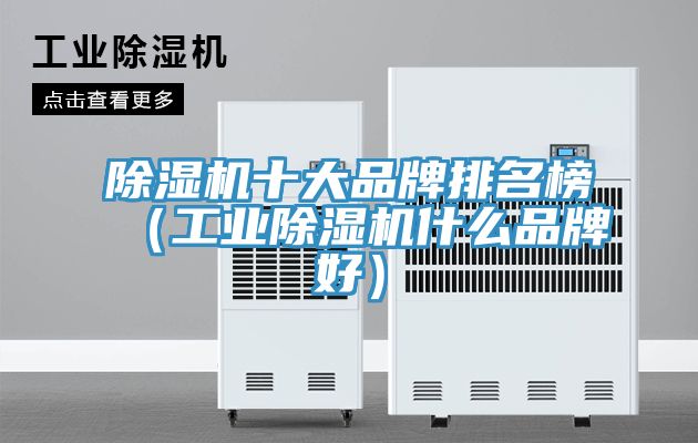 除濕機十大品牌排名榜(工業除濕機什么品牌好)