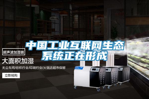 中國工業(yè)互聯網生態(tài)系統(tǒng)正在形成