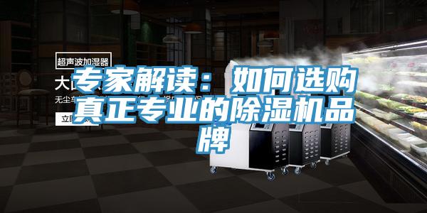 專家解讀：如何選購真正專業(yè)的除濕機品牌