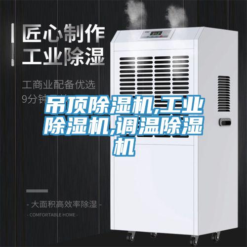 吊頂除濕機,工業(yè)除濕機,調(diào)溫除濕機
