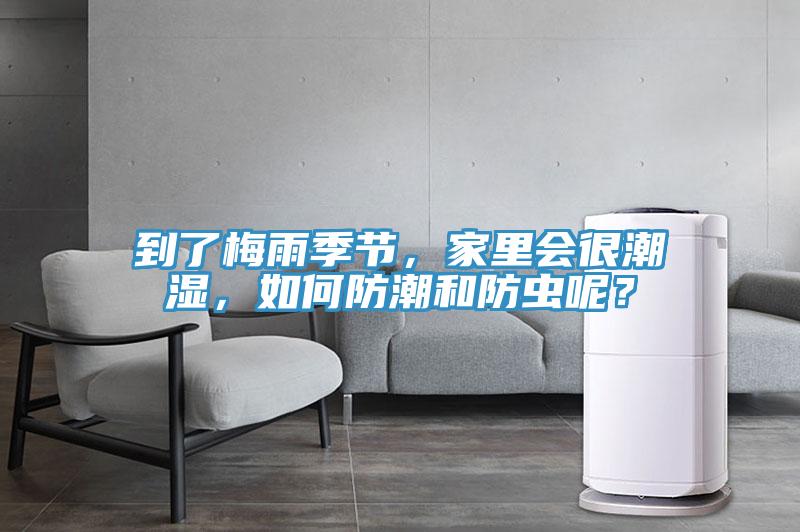 到了梅雨季節，家里會很潮濕，如何防潮和防蟲呢？